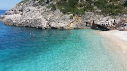 Shen Andreas Bay'in fotoğrafı küçük koy ile birlikte