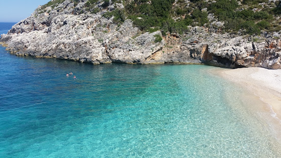 Shen Andreas Bay