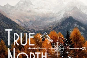 True North Hair Co image