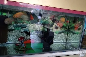 Ocean Fish & Aquarium Shop image