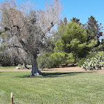 Photo n°1 de l'avis de Valeria.a fait le 21/08/2020 à 12:13 sur le  Masseria Corda di Lana Hotel & Resort à Torre Lapillo