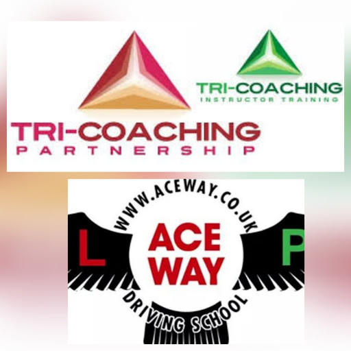 Driving Instructor Training -Tri-Coaching - Edgbaston - Ali Shahraki