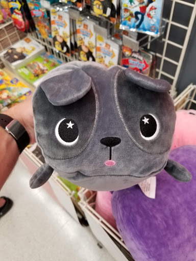 Craft Store «Michaels», reviews and photos, 10500 Ulmerton Rd #250, Largo, FL 33771, USA