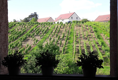 Gîte des vignes à Arbois