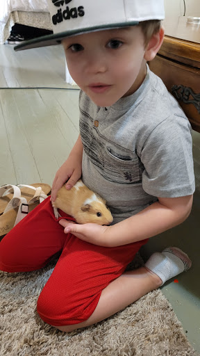 Pet Supply Store «Pet Supplies Plus», reviews and photos, 2410 Augusta Rd, West Columbia, SC 29169, USA