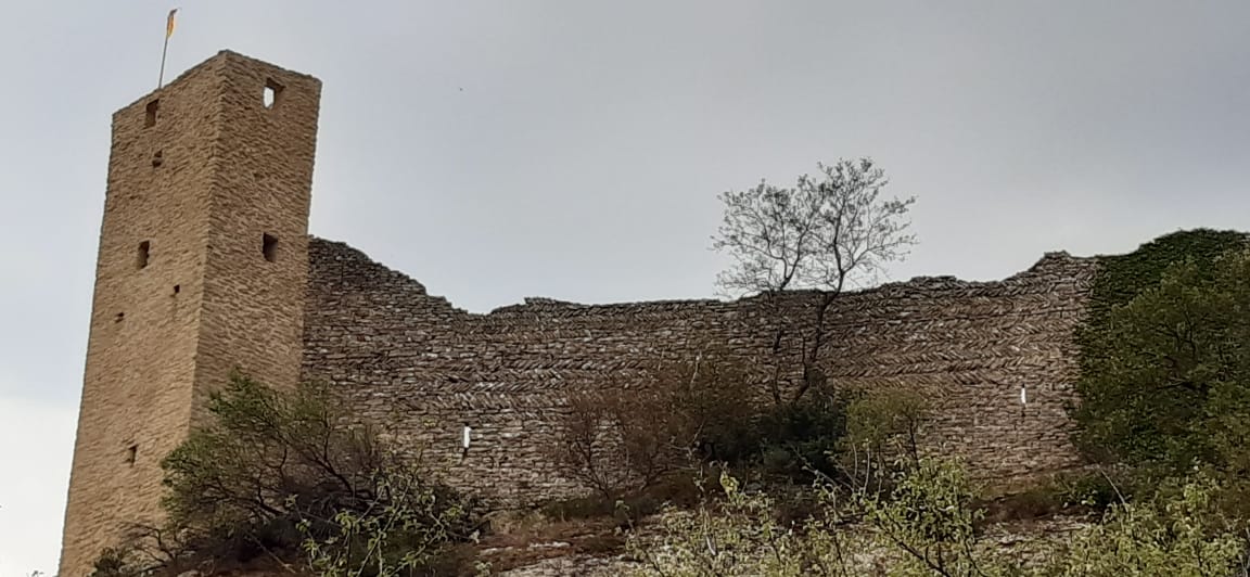 Photo n° 3 de l'avis de Mathis.A fait le 10/07/2022 à 19:12