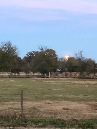 Frontier Trading Co.