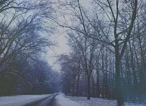 Kickapoo Creek Park - photo 12