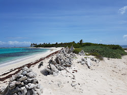 Petit Tabac beach'in fotoğrafı vahşi alan