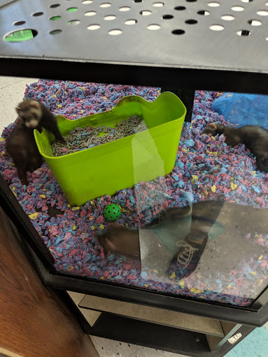 Pet Supply Store «Petco Animal Supplies», reviews and photos, 1930 SW Wanamaker Rd, Topeka, KS 66604, USA