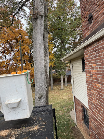 A Top Notch Tree Service