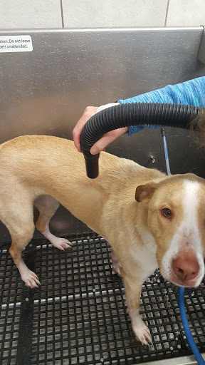 Pet Supply Store «Pet Supplies Plus», reviews and photos, 500 S St W, Raynham, MA 02767, USA