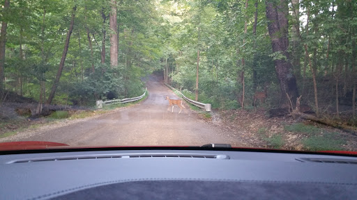 Tourist Attraction «ZipZone Canopy Tours», reviews and photos, 7925 N High St, Columbus, OH 43235, USA