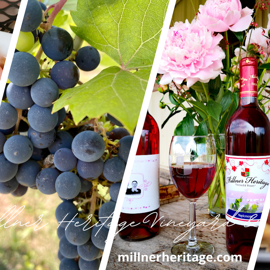 Millner Heritage Vineyard & Winery