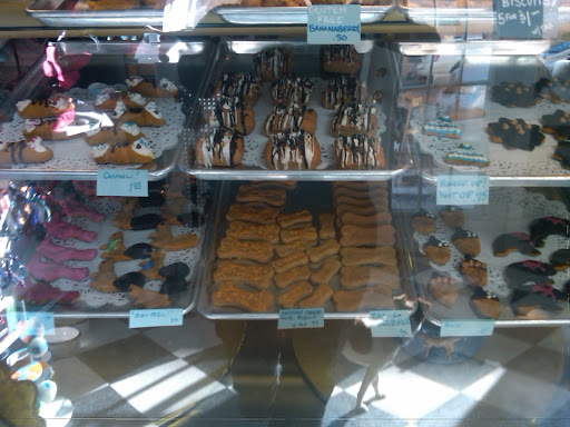 Pet Supply Store «Blue Ridge Dog», reviews and photos, 115 W Water St, Harrisonburg, VA 22801, USA