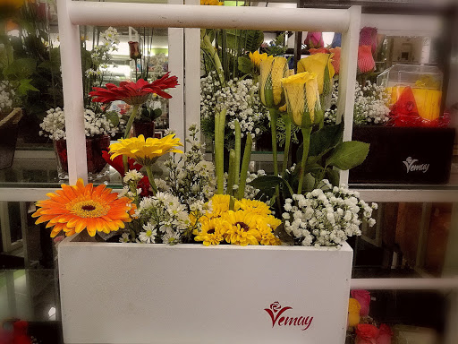 Tiendas para comprar tulipanes Asunción