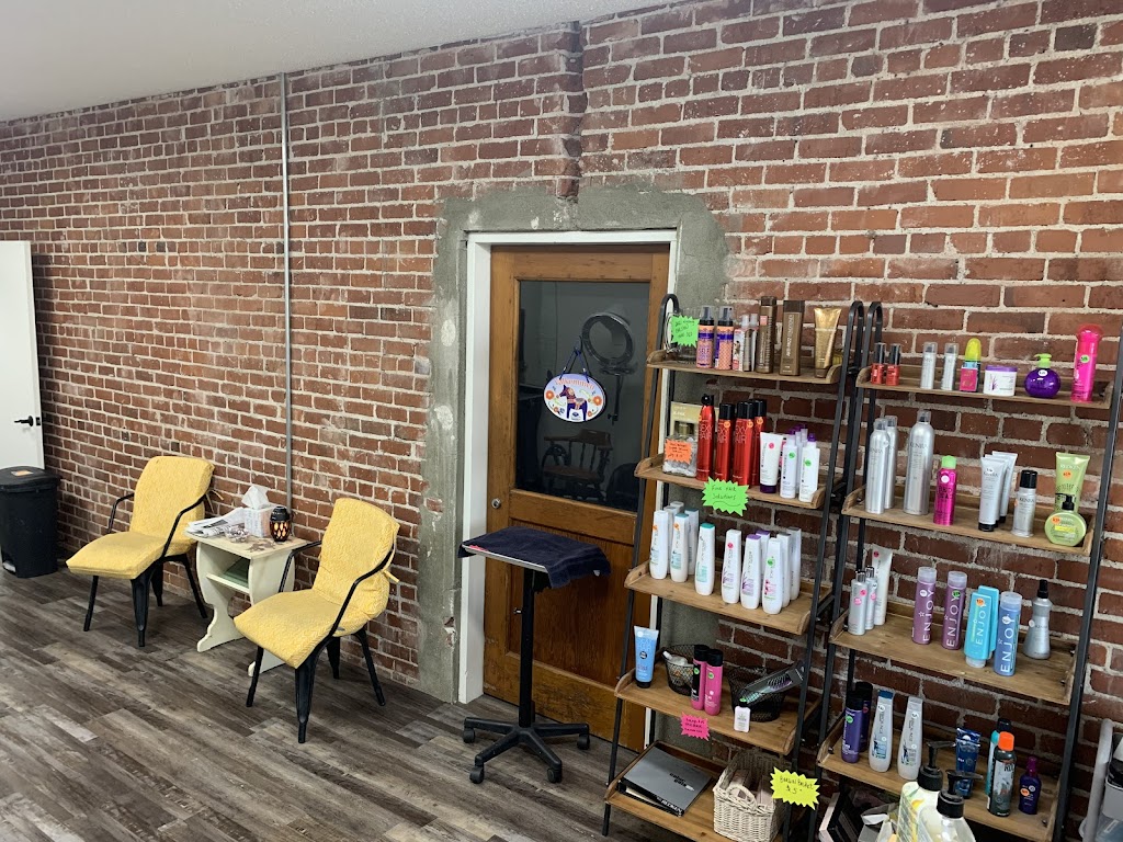 Michele Designer Of Hair/Viking Hair Studio 93631