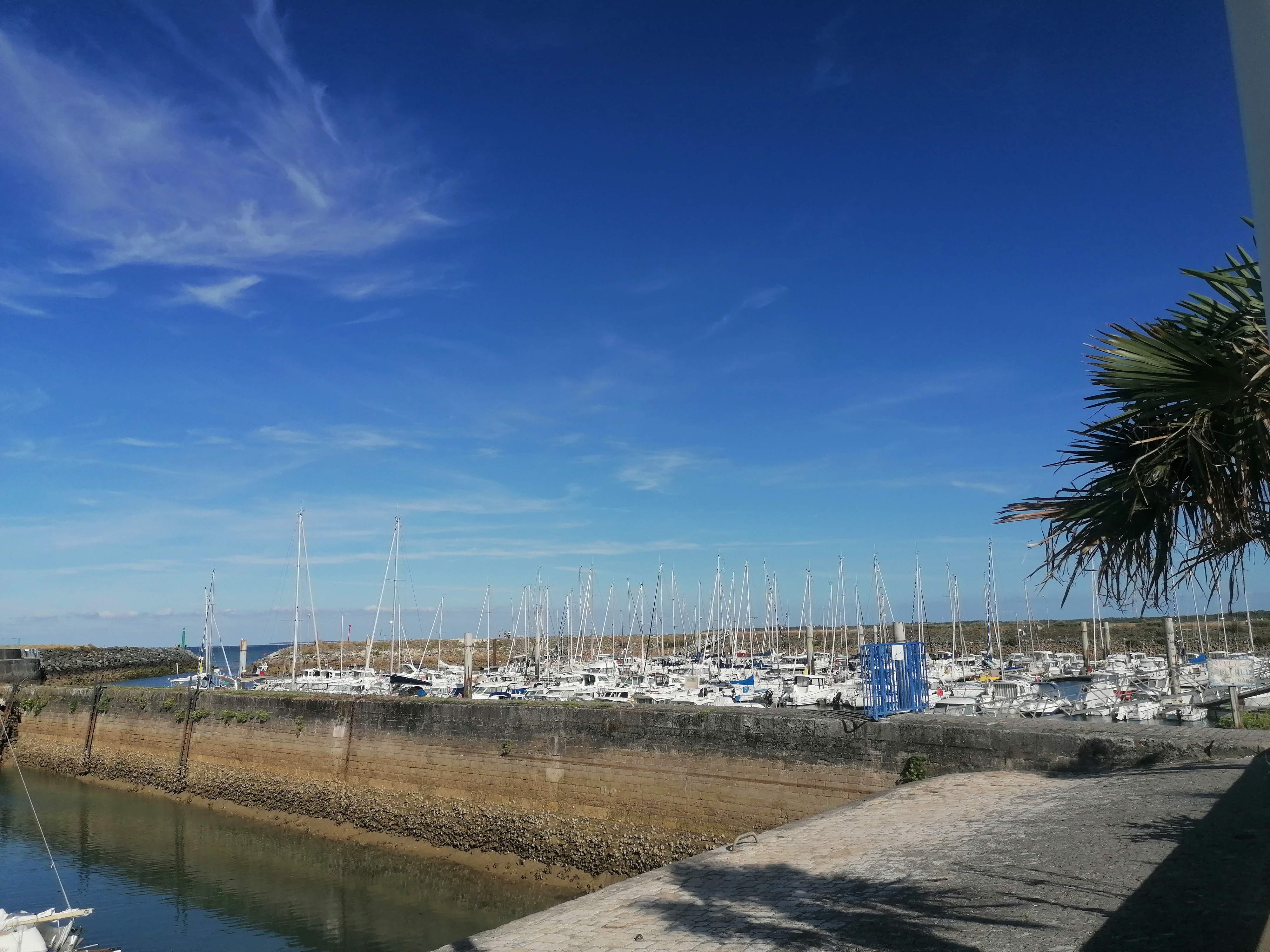 Photo n° 5 de l'avis de Marina.o fait le 18/08/2020 à 05:52