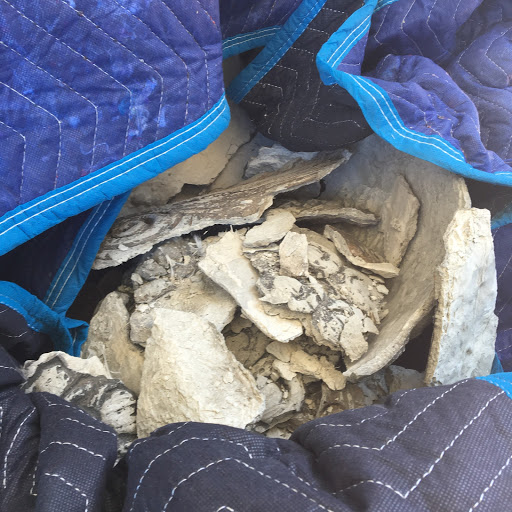 Moving Company «International Van Lines», reviews and photos, 3957 NW 126th Ave, Coral Springs, FL 33065, USA