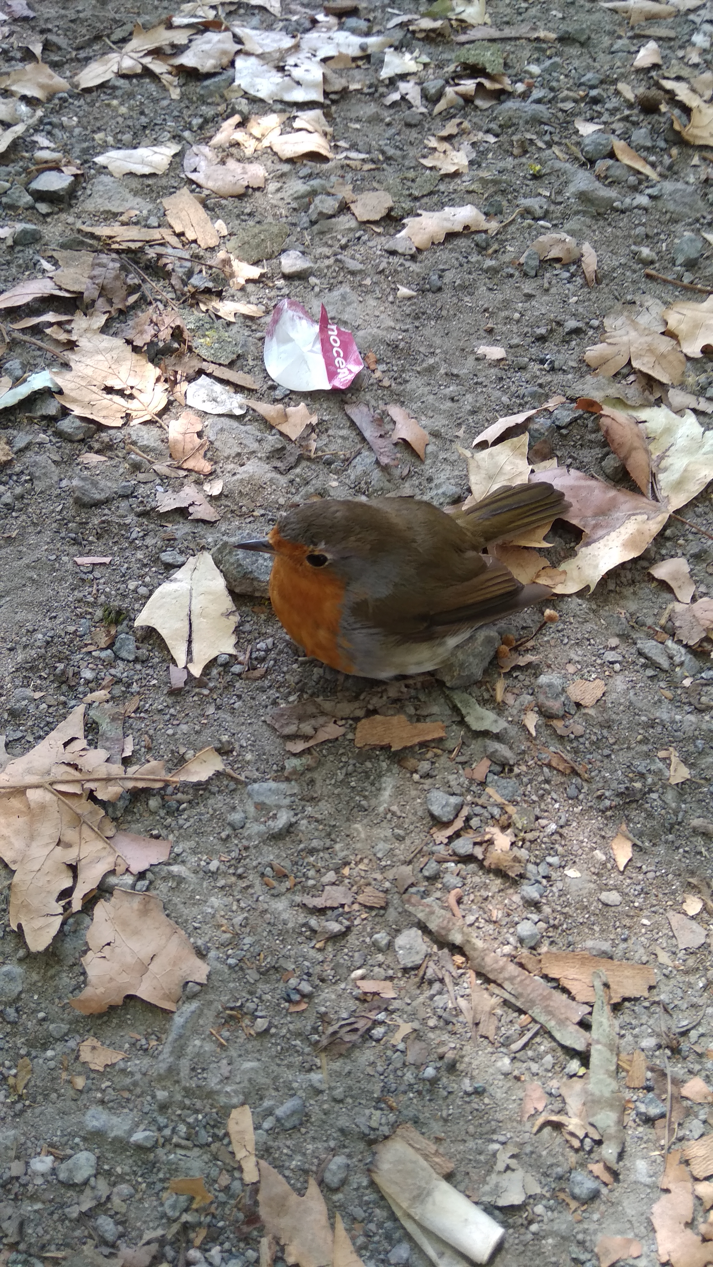 Photo n° 1 de l'avis de Mikhail.m fait le 26/08/2018 à 12:35