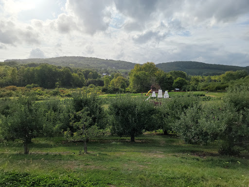 Orchard «Weed Orchards & Winery», reviews and photos, 43 Mt Zion Rd, Marlboro, NY 12542, USA