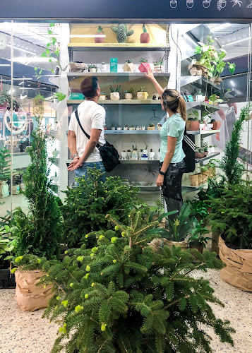 Opiniones de The plant store - Santiago en Providencia - Centro comercial