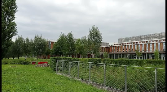Università degli Studi di Milano Ospedale Veterinario Universitario Via dell'Università, 6, 26900 Lodi LO, Italia