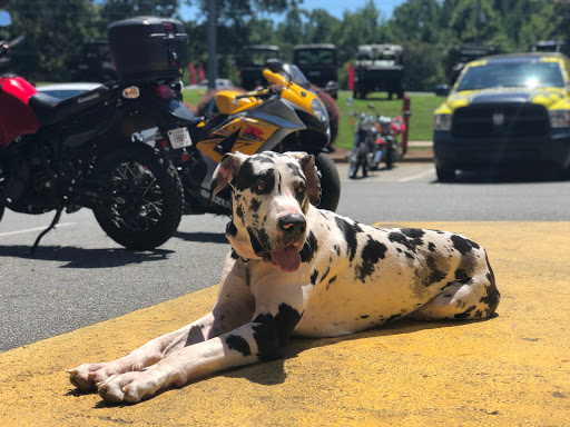 Motorcycle Dealer «Mountain Motorsports», reviews and photos, 3102 Cobb Pkwy NW, Kennesaw, GA 30152, USA