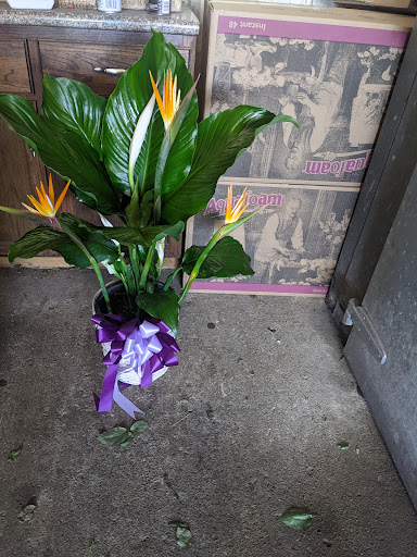 Florist «Flowers by Monica», reviews and photos, 9210 Homestead Rd a, Houston, TX 77016, USA