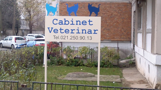 Cabinet Medical Veterinar Blue Cat - Veterinar