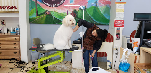 Pet Supply Store «Pet Haven», reviews and photos, 626 N Glenoaks Blvd, Burbank, CA 91502, USA