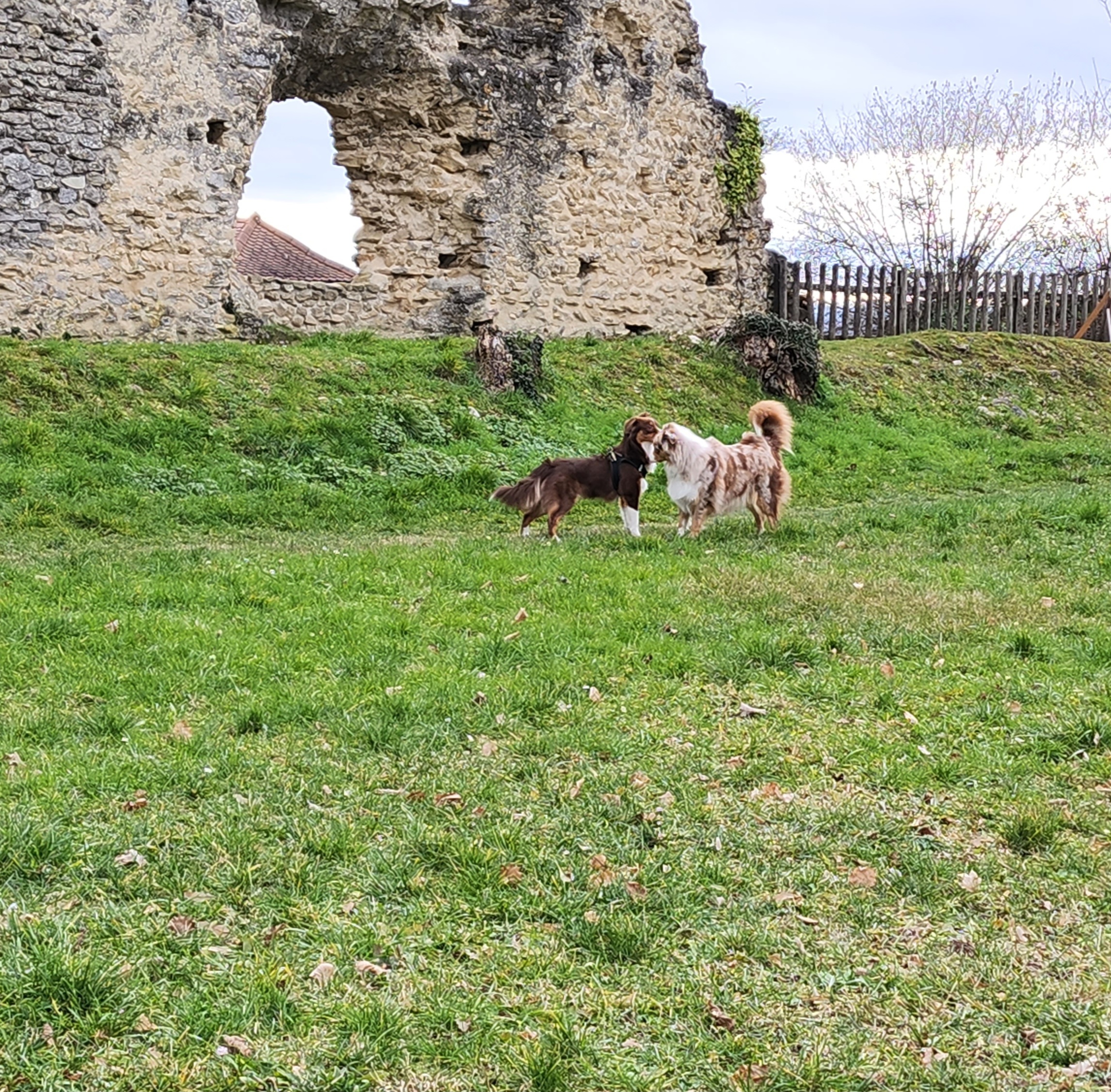 Photo n° 7 de l'avis de Valerie.l fait le 05/02/2023 à 18:27