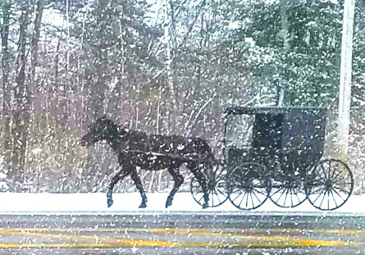 Home Improvement Store «Tractor Supply Co.», reviews and photos, 471 E Main St STE 3, Gouverneur, NY 13642, USA