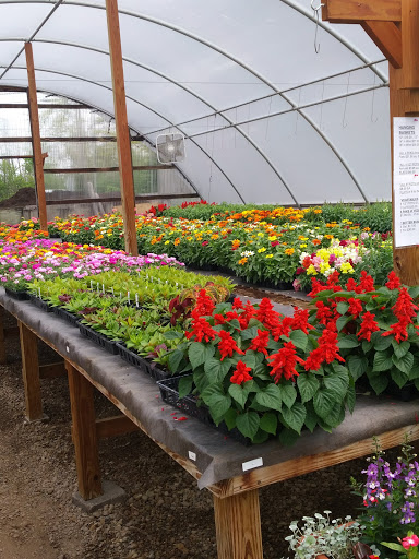 Florist «Burkhart Greenhouse & Garden», reviews and photos, 1530 E Central Ave, Miamisburg, OH 45342, USA