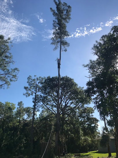 South Florida Tree Company