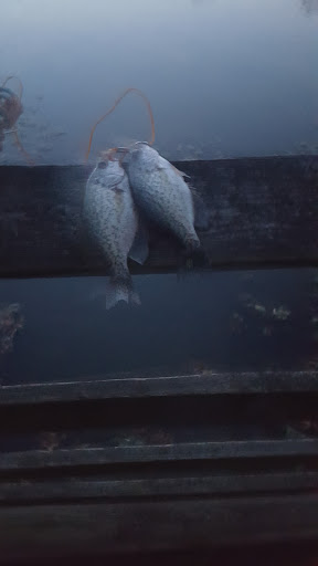 Park «Louise F Cosca Regional Park», reviews and photos, 11000 Thrift Rd, Clinton, MD 20735, USA