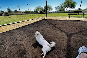 Desert Vista Dog Park image