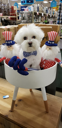 Home Goods Store «At Home», reviews and photos, 1325 N Meacham Rd, Schaumburg, IL 60173, USA