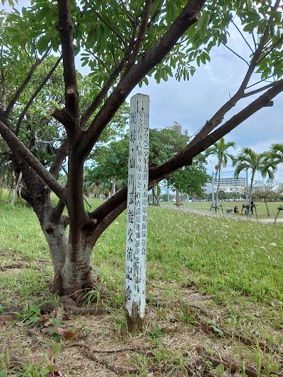 五人番のアコウ