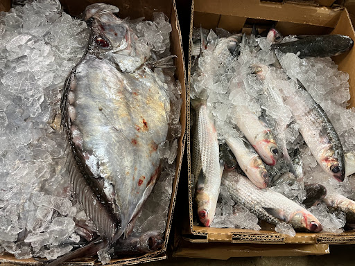 The New Fulton Fish Market image 4
