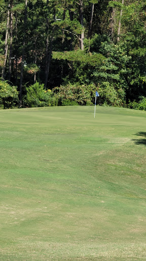 Golf Club «Holly Lake Ranch Golf Club», reviews and photos, 210 Golf Drive, Holly Lake Ranch, TX 75765, USA