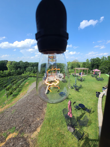 Winery «Saudé Creek Vineyards», reviews and photos, 16230 Cooks Mill Rd, Lanexa, VA 23089, USA