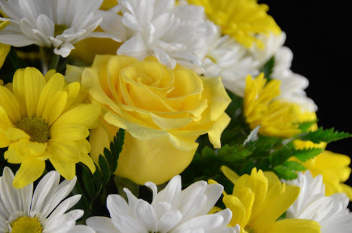 Florist «Hilldale Florist», reviews and photos, 1946 Madison St, Clarksville, TN 37043, USA