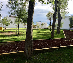 Area verde pet friendly La Antigua Cementera photo