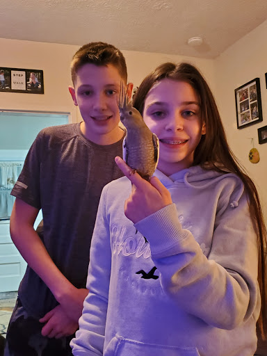 Pet Store «Wet Pets And Friends», reviews and photos, 3695 Washington Rd, Canonsburg, PA 15317, USA