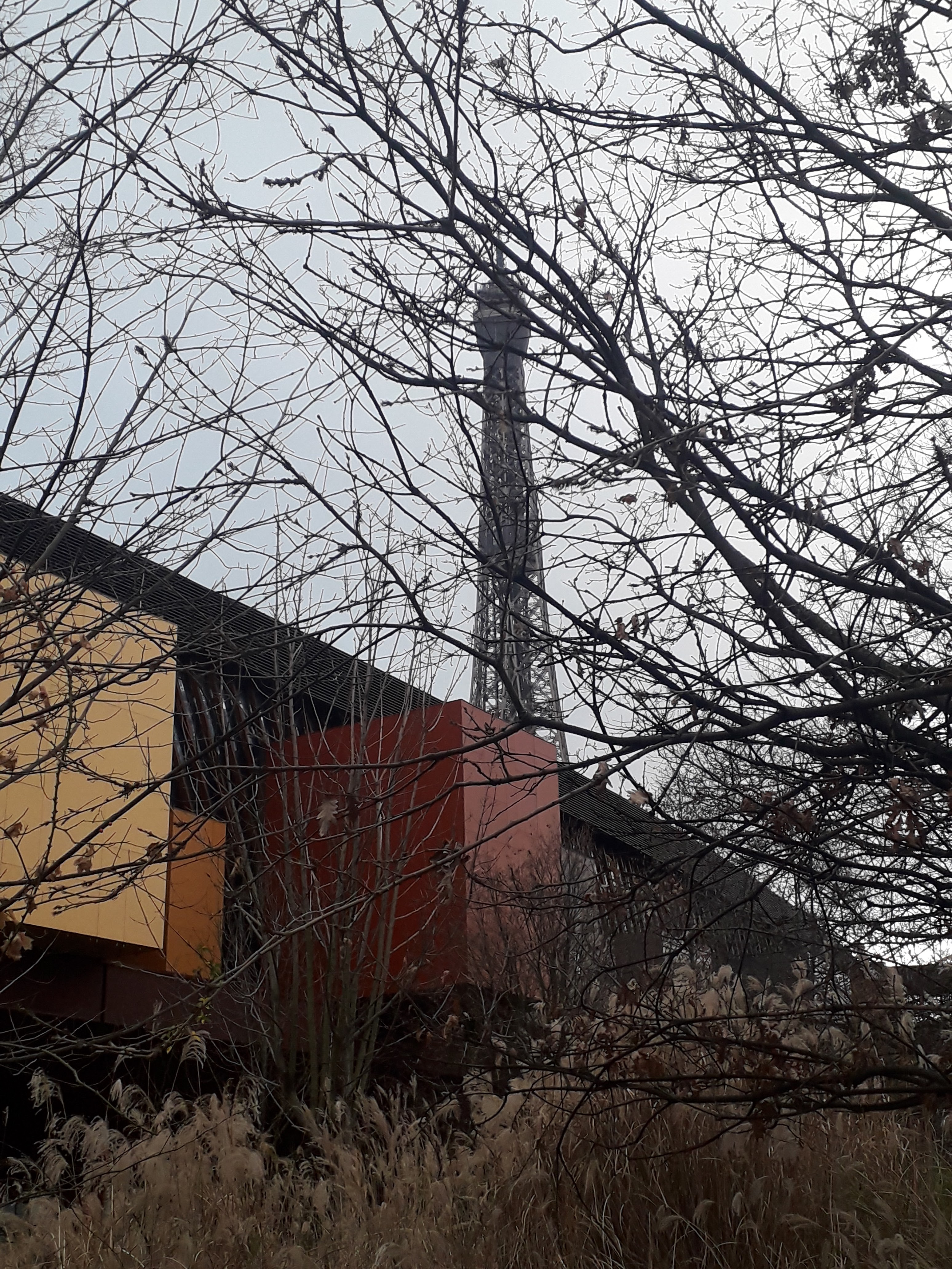 Photo n° 2 de l'avis de Facundo.e fait le 13/03/2020 à 16:46