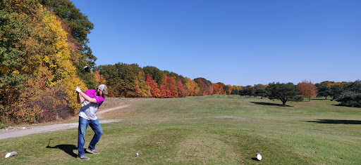 Golf Course «Belle River Golf Course», reviews and photos, 12564 Belle River Rd, Memphis, MI 48041, USA