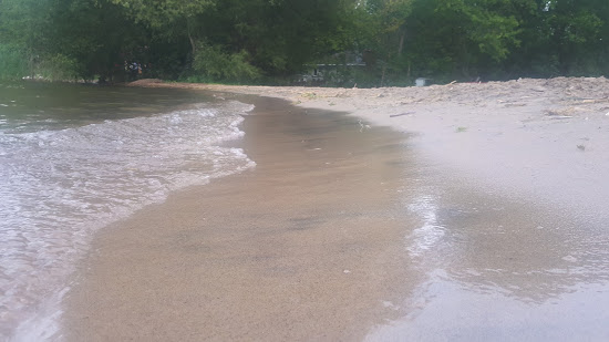 McKenzie Beach