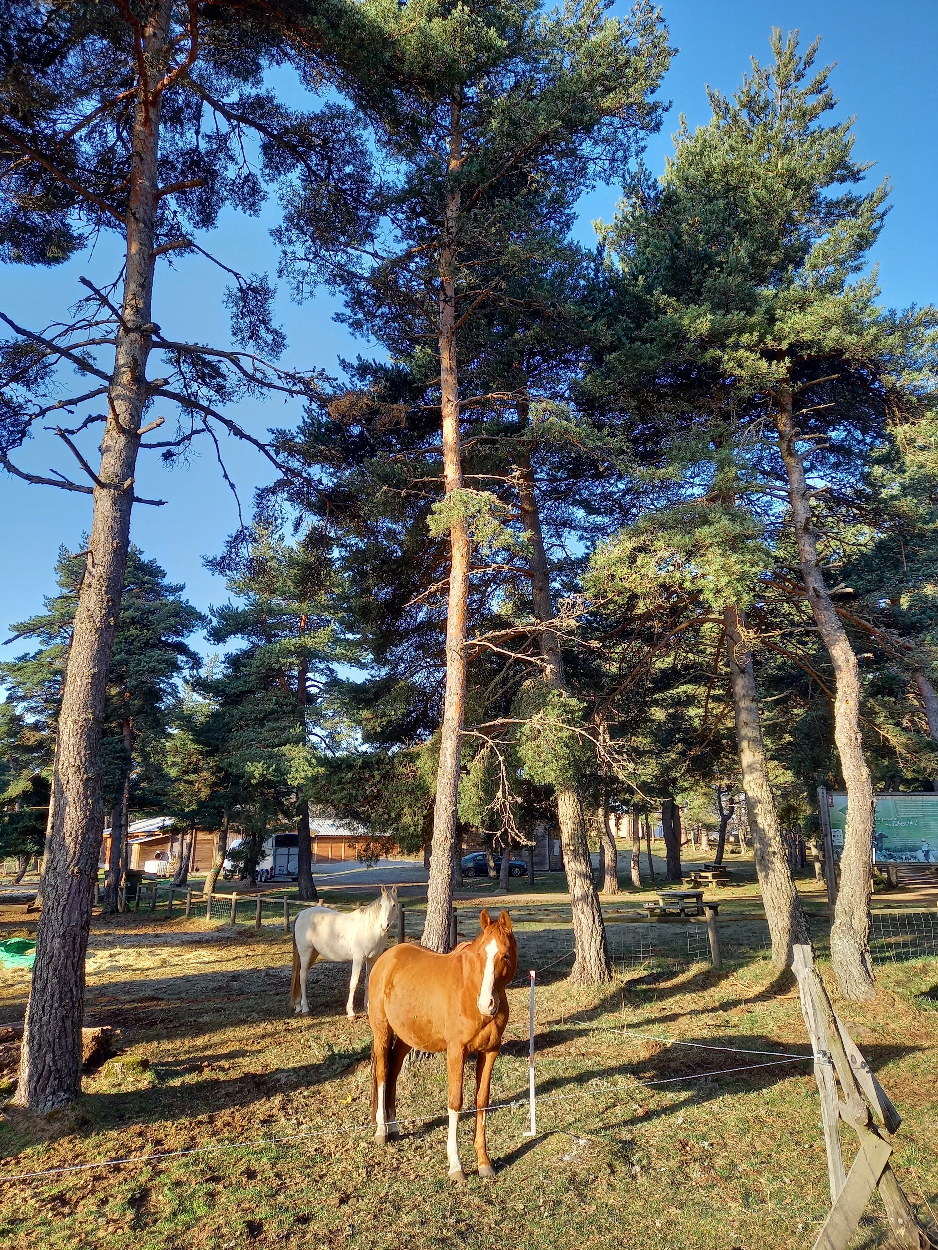 Photo n° 1 de l'avis de lionel.e fait le 28/02/2021 à 16:11