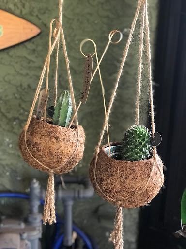 Gift Shop «Little Village», reviews and photos, 2808 W 12th St, Panama City, FL 32401, USA